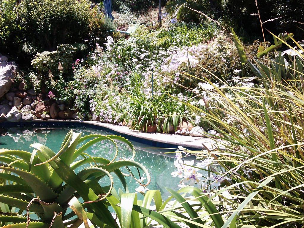 Hotel Hout Bay Hideaway Zewnętrze zdjęcie