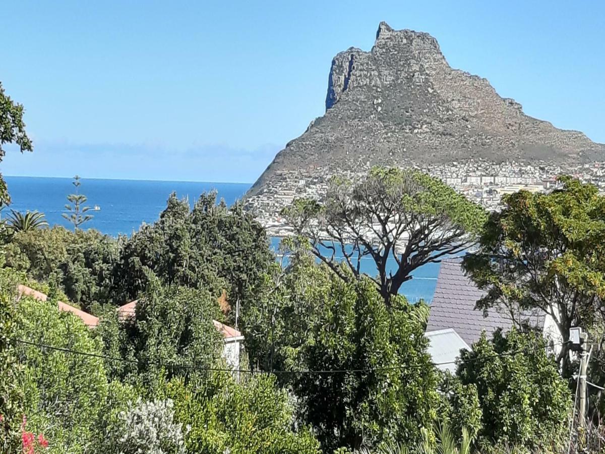 Hotel Hout Bay Hideaway Zewnętrze zdjęcie